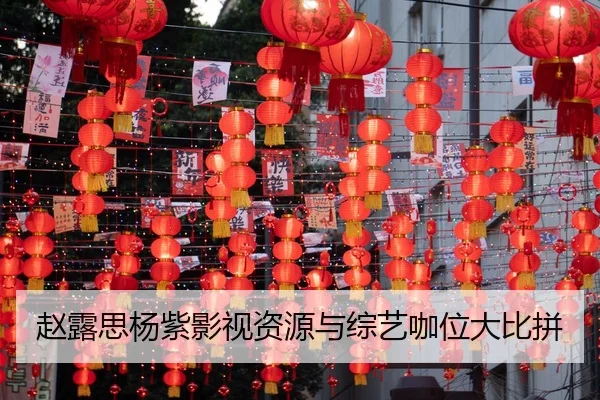 zhao-lu-si-yang-zi-ying-shi-zi-yuan-yu-zong-yi-ka-wei-da-bi-pin-2-958.jpg