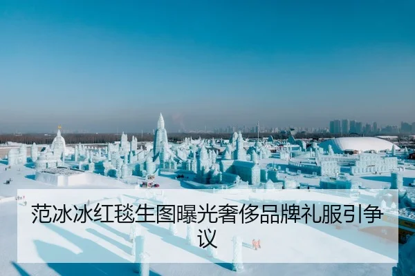 范冰冰红毯生图曝光奢侈品牌礼服引争议
