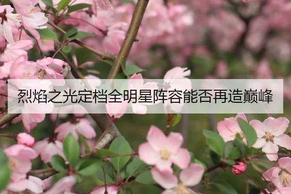 烈焰之光定档全明星阵容能否再造巅峰